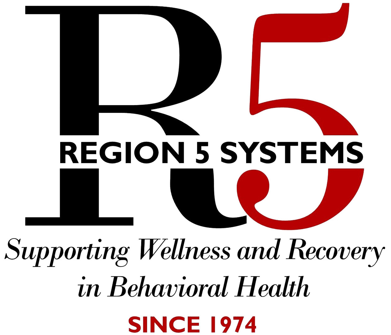 Region V Systems logo